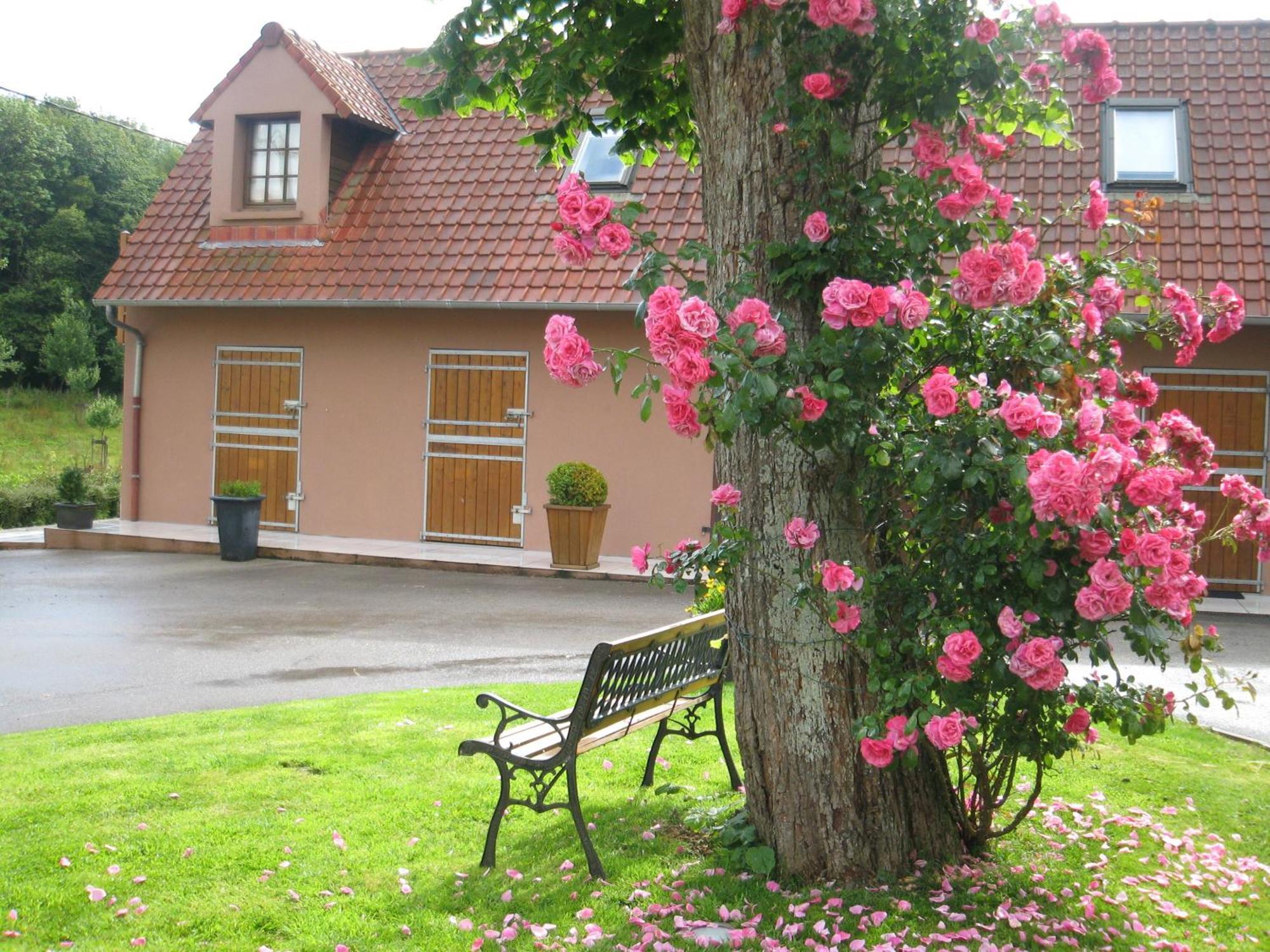 Hotel Du Moulin Aux Draps Desvres Exterior foto